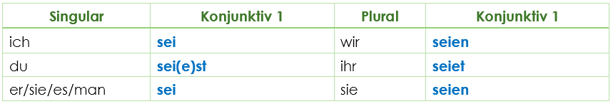 sein Konjunktiv 1